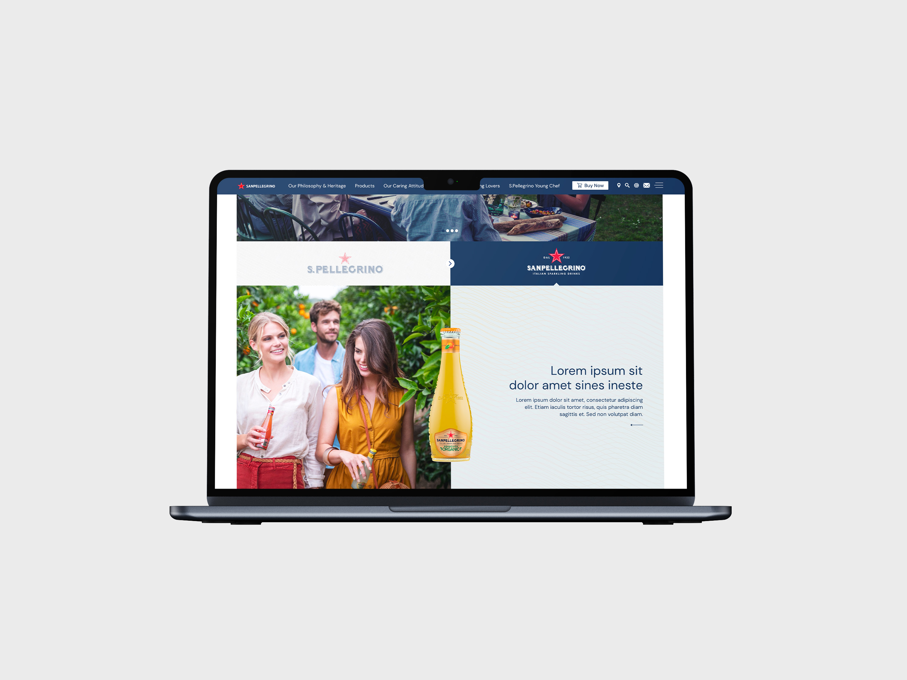 San Pellegrino - Mockup homapage